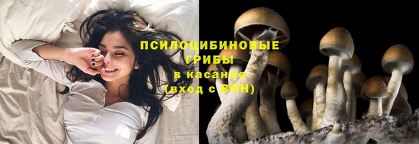 ГАЛЛЮЦИНОГЕННЫЕ ГРИБЫ Лихославль