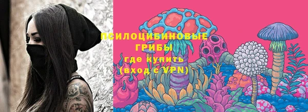 винт Лиски