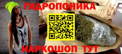 хмурый Малоярославец