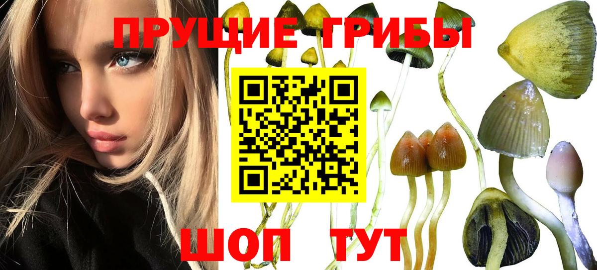 Псилоцибиновые грибы MAGIC MUSHROOMS  Вход с VPN  Приморско-Ахтарск  Галлюциногенные грибы мицелий 