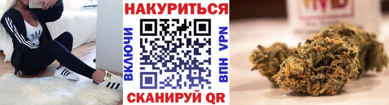 Конопля план Приморско-Ахтарск